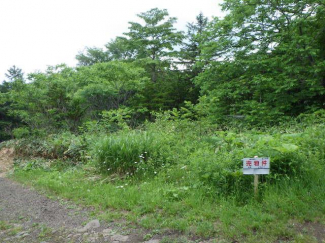 北海道札幌市南区北ノ沢の売地の画像