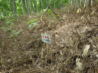 北海道磯谷郡蘭越町字湯里の売地の画像