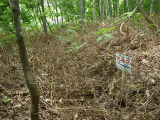 北海道磯谷郡蘭越町字湯里の売地の画像