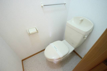 落ち着いた色調のトイレです