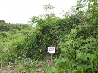 栃木県矢板市豊田の売地の画像