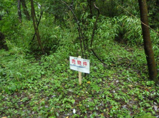 熊本県阿蘇郡南阿蘇村大字下野の売地の画像