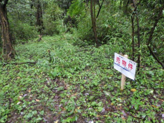 熊本県阿蘇郡南阿蘇村大字下野の売地の画像