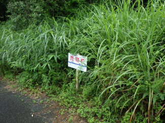 熊本県阿蘇郡南阿蘇村大字河陽の売地の画像