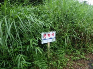 熊本県阿蘇郡南阿蘇村大字河陽の売地の画像