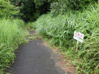 熊本県阿蘇郡南阿蘇村大字河陽の売地の画像