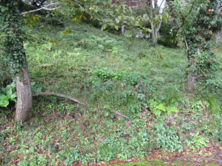 栃本売別荘地（ビラニュー神鍋）の画像