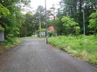 福島県耶麻郡猪苗代町大字蚕養字沼尻山甲の売地の画像