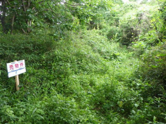 茨城県牛久市猪子町の売地の画像