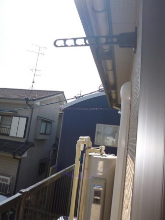 アムール・エミューの画像