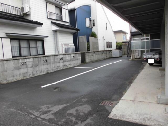 アムール・エミューの画像
