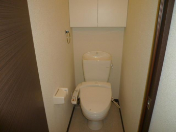 落ち着いた色調のトイレです