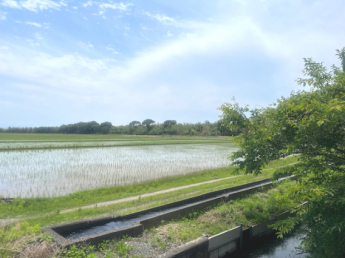 南側の景色、物件すぐ横にきれいな水路が流れています！