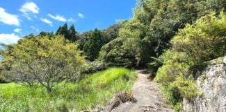 亀岡市西別院町犬甘野58の画像