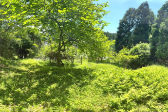 亀岡市西別院町犬甘野58の画像