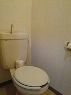 清潔感のあるトイレです