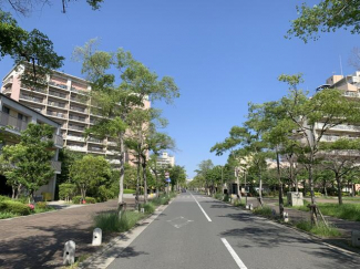 兵庫県西宮市西宮浜４丁目のマンションの画像