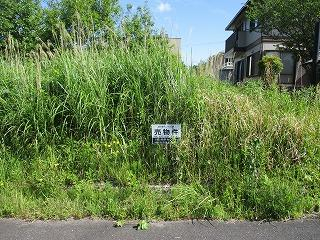 滋賀県蒲生郡日野町大字小井口の売地の画像