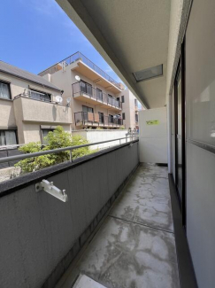 マローネンバウムの画像