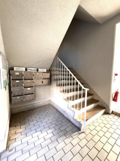マローネンバウムの画像