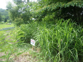 青森県青森市浪岡大字大釈迦字沢田の売地の画像