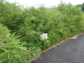 千葉県東金市一之袋の売地の画像