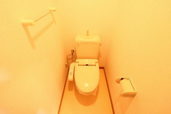 落ち着いたトイレです