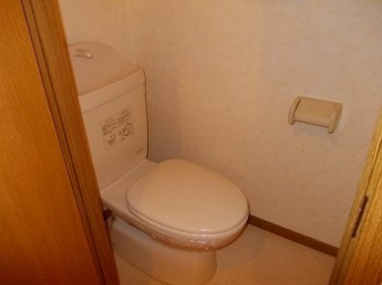 落ち着いたトイレです