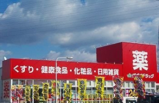 ゴダイドラッグ新岡田店まで1400m