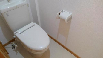 ゆったりとした空間のトイレです