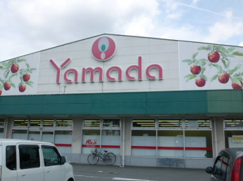 ヤマダ花田店まで786ｍ