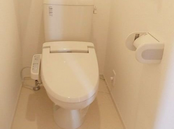 落ち着いた色調のトイレです