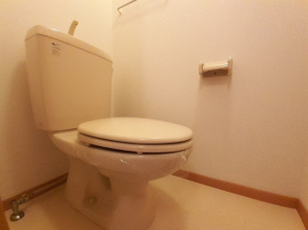 清潔感のあるトイレです