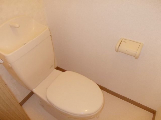 落ち着いた色調のトイレです