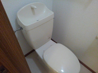 落ち着いたトイレです