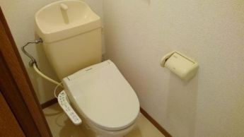 落ち着いたトイレです