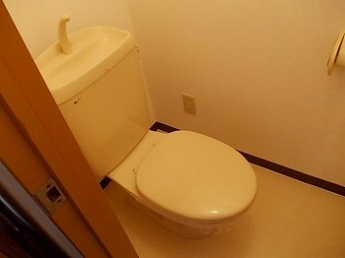 落ち着いた色調のトイレです