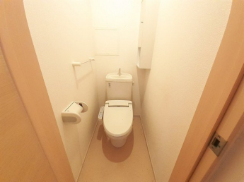 落ち着いた色調のトイレです