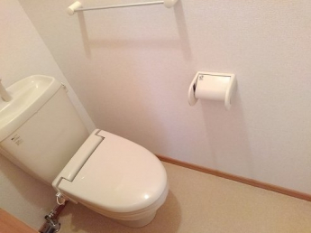 落ち着いた色調のトイレです