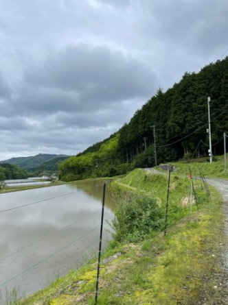 道中ののどかな田園風景