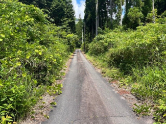 【前面道路含む現地写真】