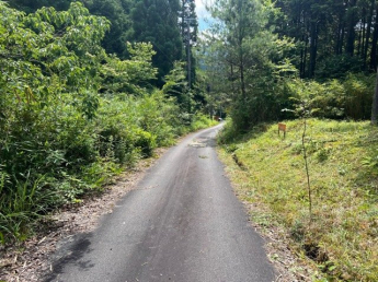 【前面道路含む現地写真】