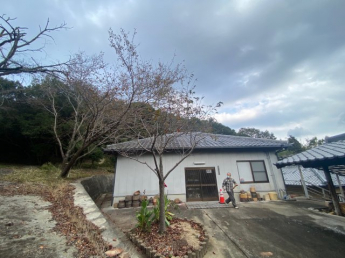【その他】