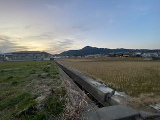 北側の水路を東側道路から見る