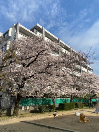 公園側からの外観です♪お部屋から、公園が見渡せますので、お子様が遊んでいても安心ですね♪