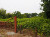 小野市浄谷町　土地1の画像