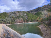 多可町八千代区下野間　山林1の画像