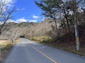 多可町中区東安田　山林の画像