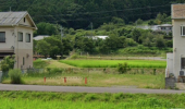 丹波市山南町岩屋の売地の画像