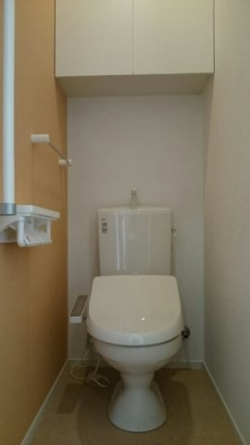 落ち着いた色調のトイレです